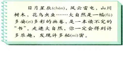 新人教版小学语文二年级下册第五单元19《最大的“书”》ppt课件7