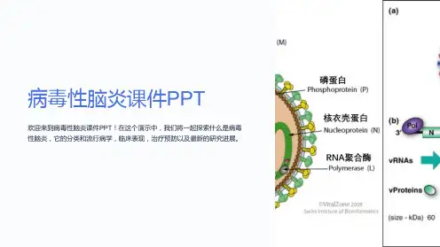 病毒性脑炎课件