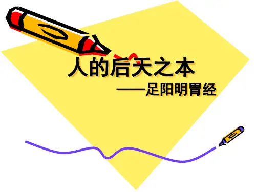 足阳明胃经PPT课件
