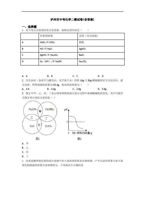 泸州市中考化学二模试卷(含答案)