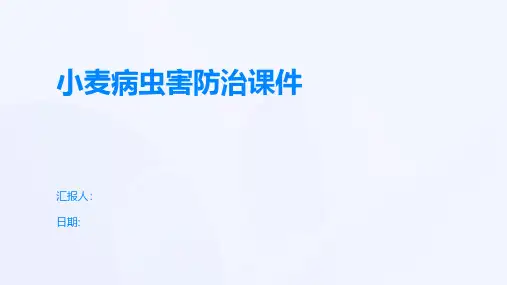 小麦病虫害防治课件