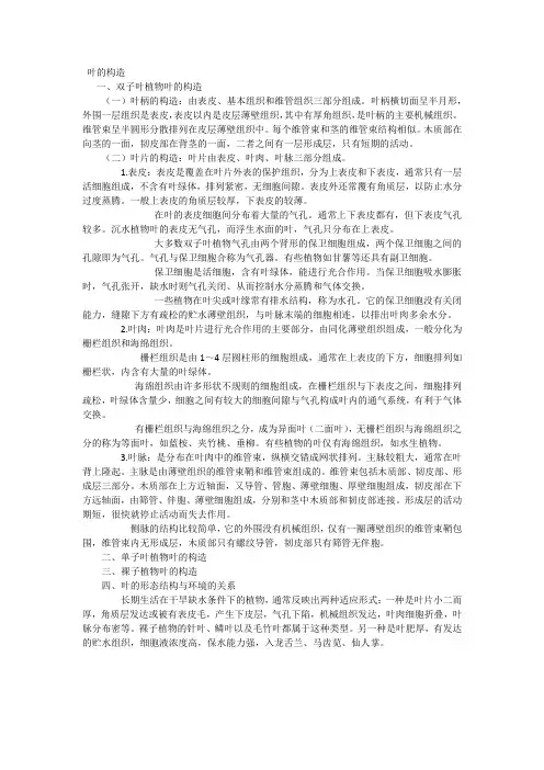 叶的构造