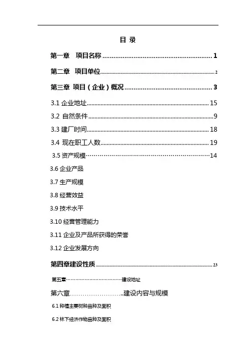 资金报告范本