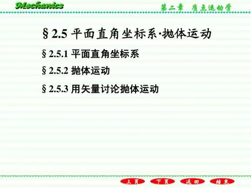 2.5平面直角坐标系抛体运动