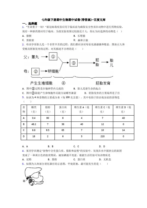 七年级下册期中生物期中试卷(带答案)-百度文库