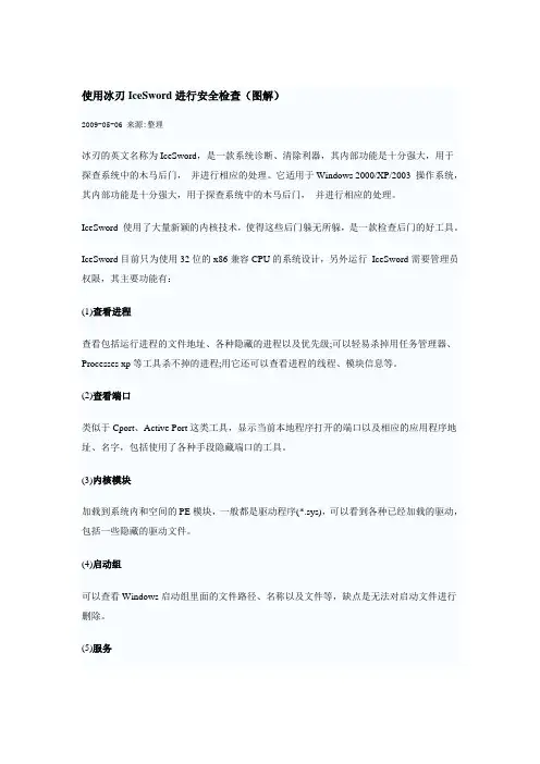 使用冰刃IceSword进行安全检查