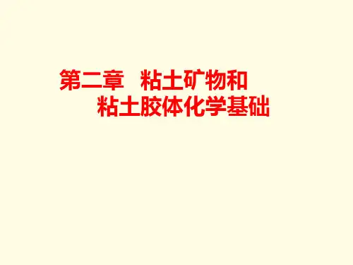 第二章粘土矿物和粘土胶体化学基础