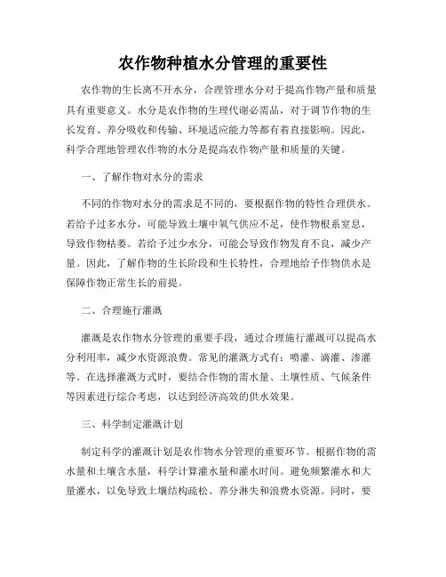 农作物种植水分管理的重要性