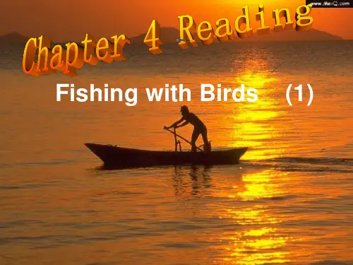 牛津英语9AChapter 4Fishing with birds课件