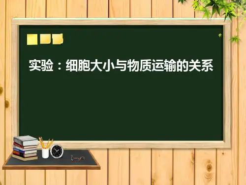 高一生物必修一第六章《实验：细胞大小与物质运输的关系》(共14张PPT)(完美版课件)