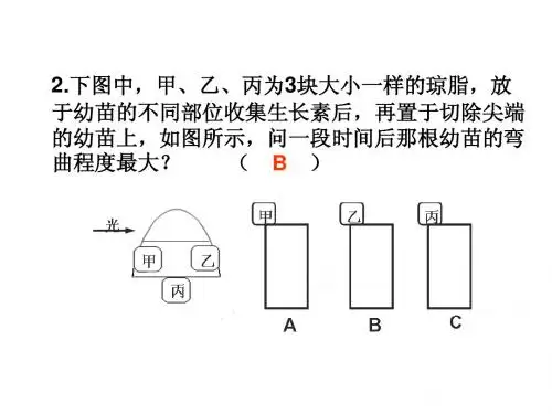 高中生物：《 植物生命活动的调节》课件(新人教必修3)1