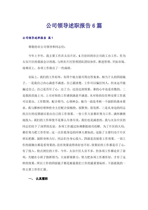 公司领导述职报告6篇