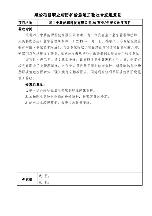 竣工验收专家组(意见)