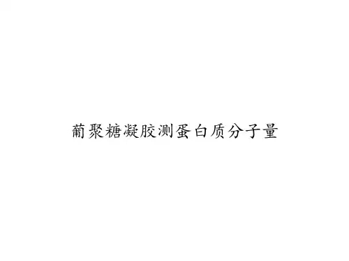 葡聚糖凝胶测蛋白质分子量