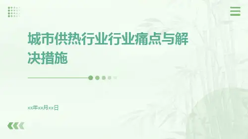 城市供热行业行业痛点与解决措施ppt
