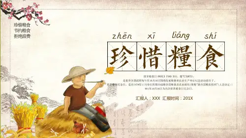 世界粮食日珍惜粮食通用专题讲授PPT课件