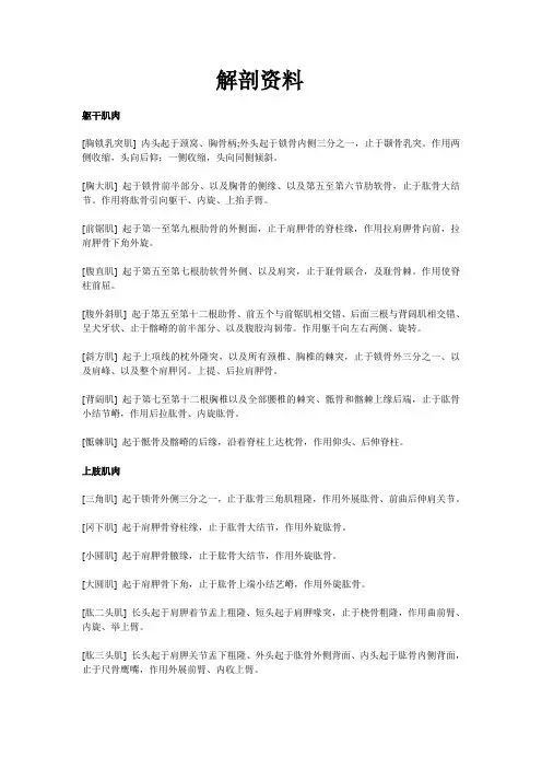 艺用解剖资料