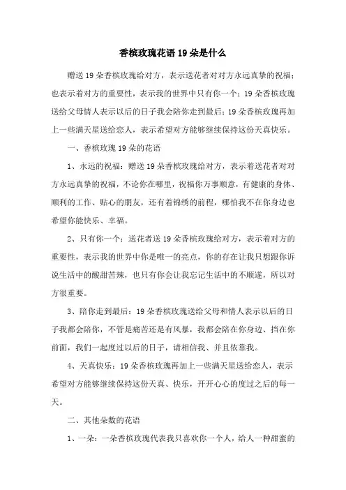 香槟玫瑰花语19朵是什么