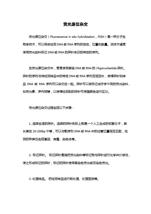 荧光原位杂交
