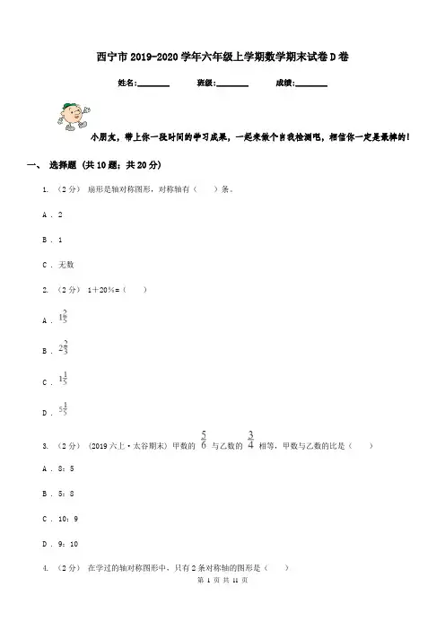西宁市2019-2020学年六年级上学期数学期末试卷D卷