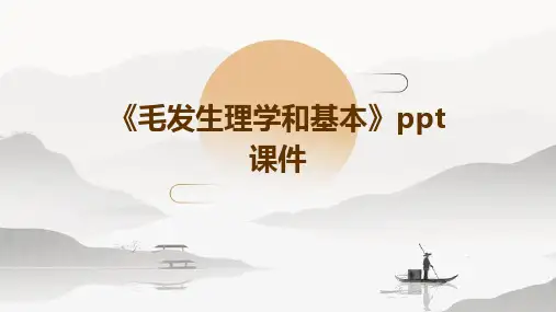 《毛发生理学和基本》课件