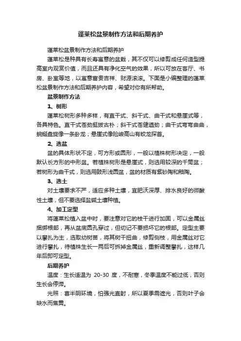 蓬莱松盆景制作方法和后期养护
