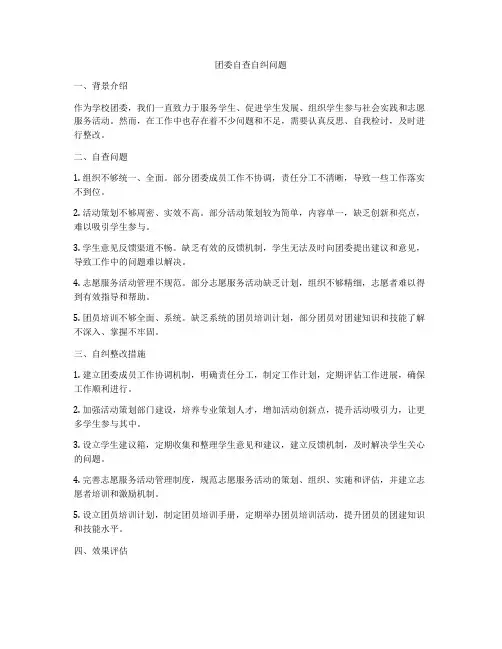 团委自查自纠问题