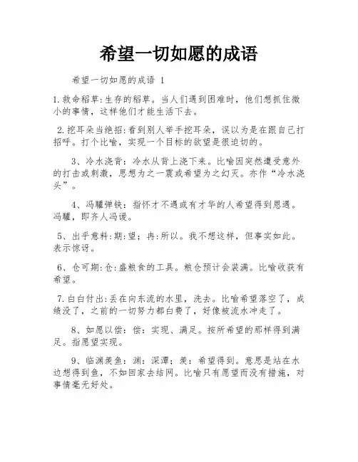 希望一切如愿的成语