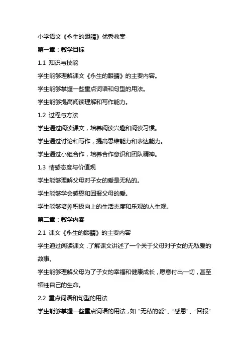 小学语文《永生的眼睛》教案