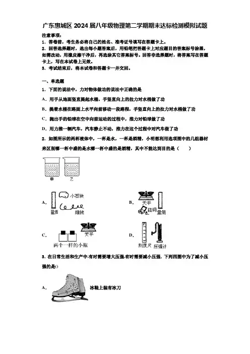 广东惠城区2024届八年级物理第二学期期末达标检测模拟试题含解析