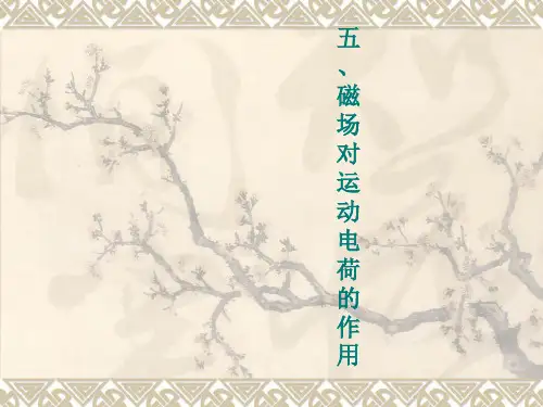 洛伦兹力教学课件