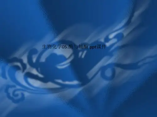 生物化学05.酶与辅酶 ppt课件_