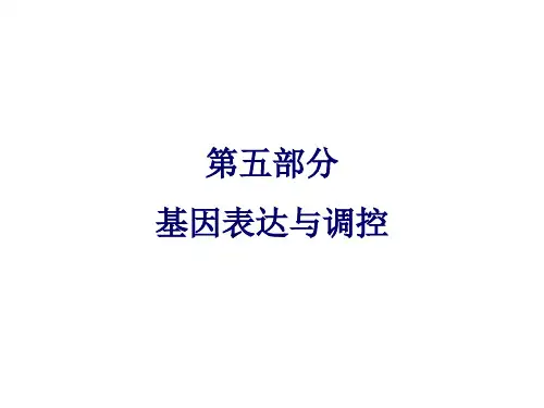 分子生物学-4