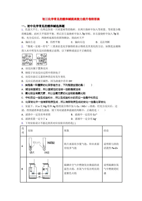 初三化学常见的酸和碱提高能力提升卷附答案