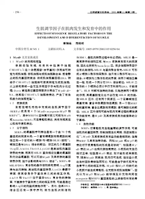 生肌调节因子在肌肉发生和发育中的作用