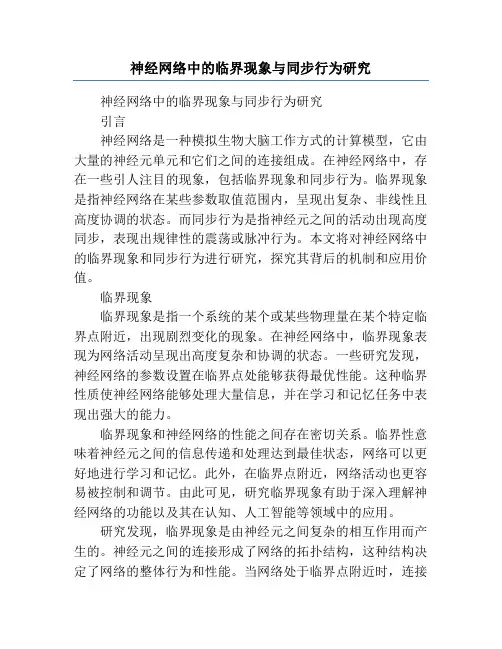 神经网络中的临界现象与同步行为研究