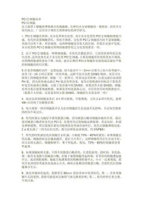 PC12细胞