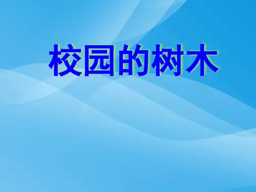 教科版小学科学三年级上册第一单元《校园的树木》PPT课件课件PPT