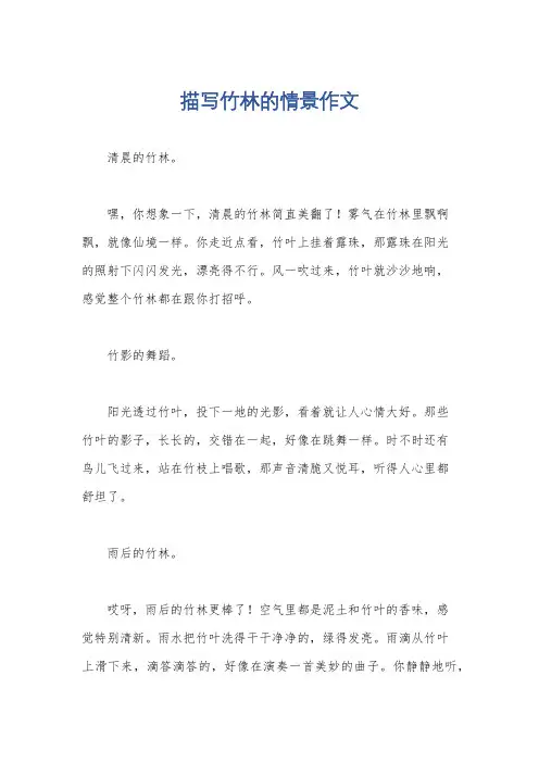 描写竹林的情景作文