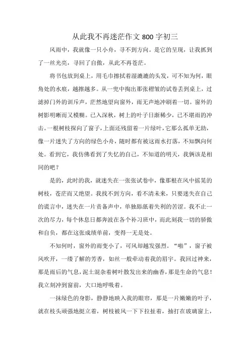 从此我不再迷茫作文800字初三
