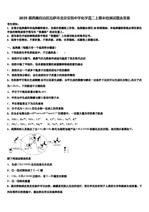 2025届西藏自治区拉萨市北京实验中学化学高二上期末检测试题含答案