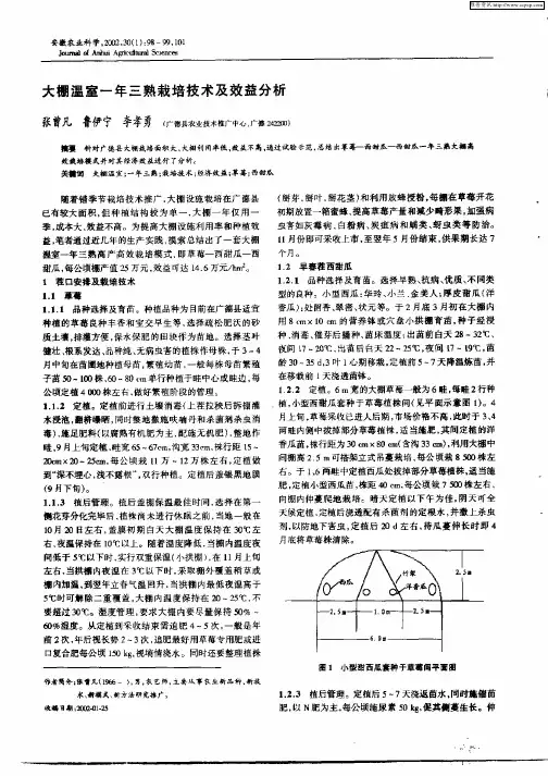大棚温室一年三熟栽培技术及效益分析