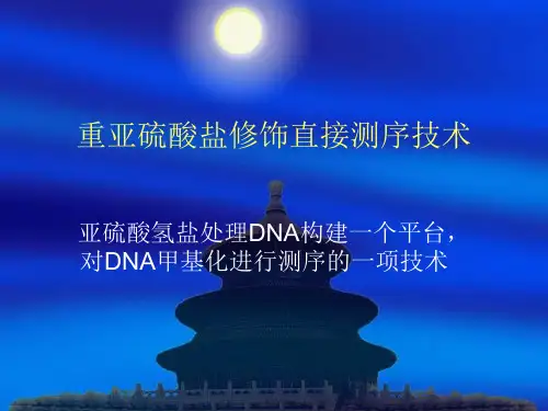 重亚硫酸盐测序