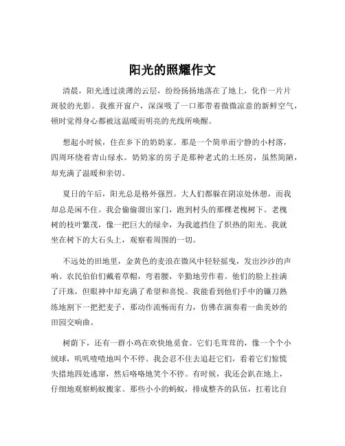 阳光的照耀作文