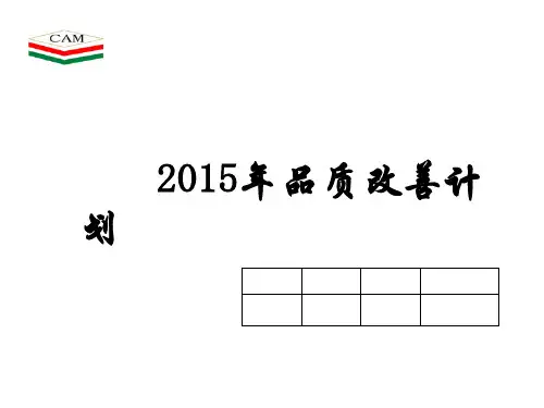 2015品质改善计划