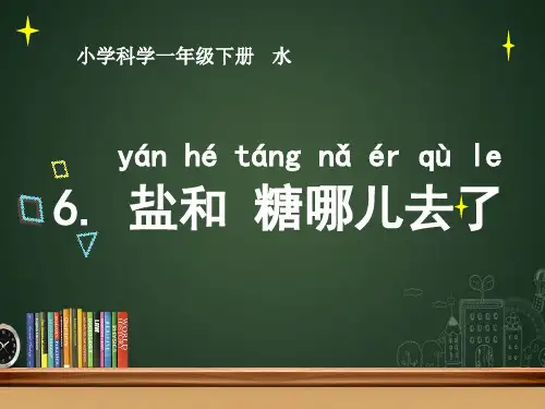 《盐和糖哪儿去了》精美课件苏教版科学1