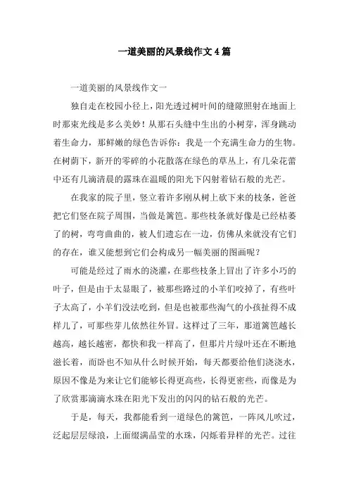 一道美丽的风景线作文4篇