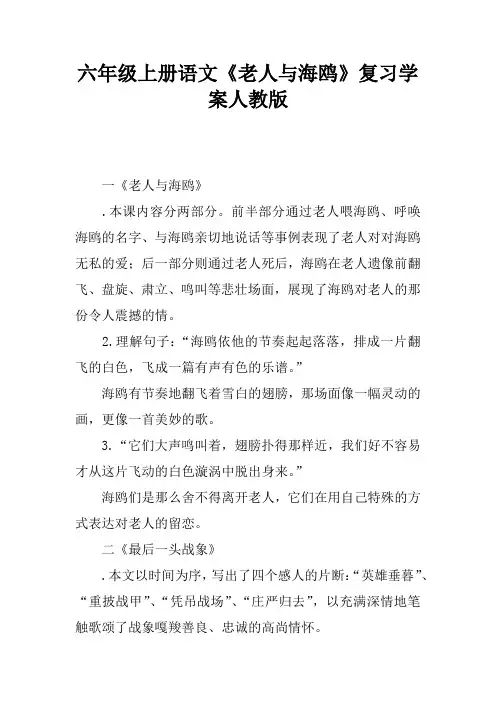 六年级上册语文《老人与海鸥》复习学案人教版