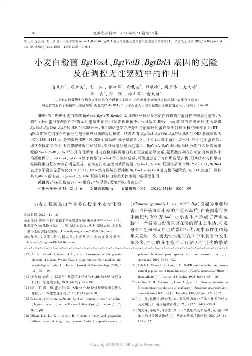小麦白粉菌BgtVosA、BgtVelB、BgtBrlA基因的克隆及在调控无性繁殖中的作用