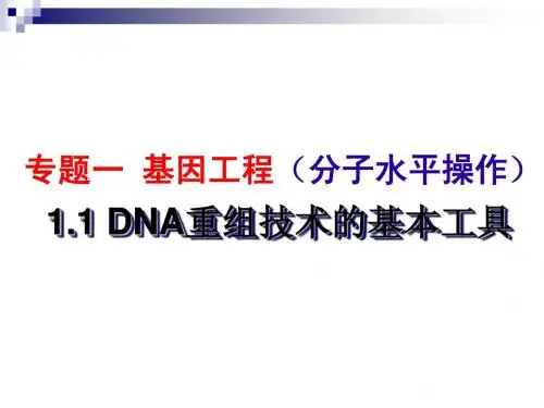 DNA重组技术的基本工具定稿